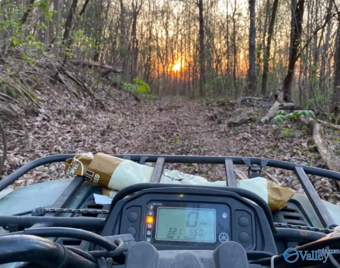 Flat Rock, AL 35966,40 Acres County Road 414