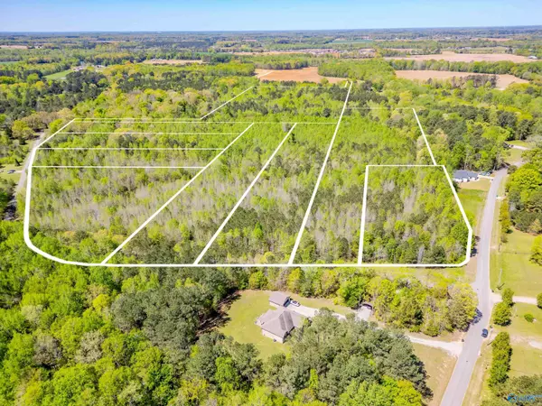 Toney, AL 35773,5 Gatlin Road