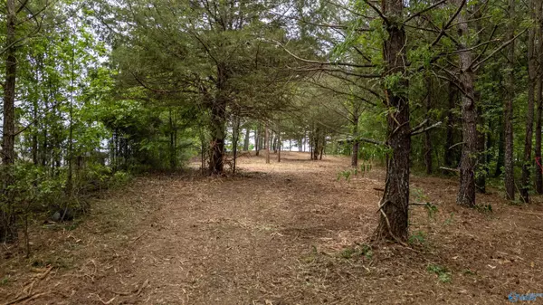 Centre, AL 35960,Lot 16 County Road 462