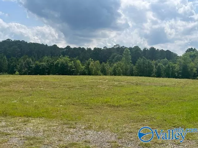 Southside, AL 35907,0 Hwy 77