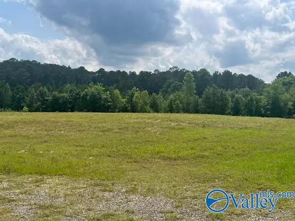 0 Hwy 77, Southside, AL 35907