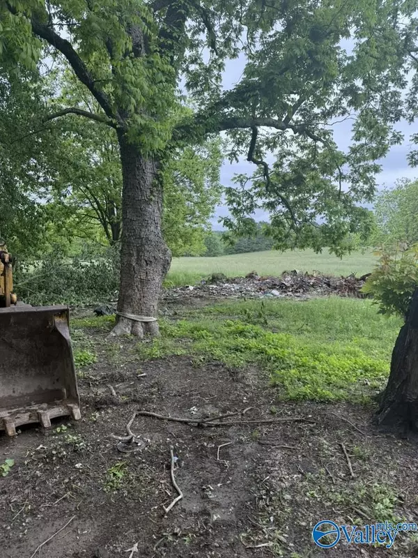 Rainsville, AL 35978,1522 County Road 138