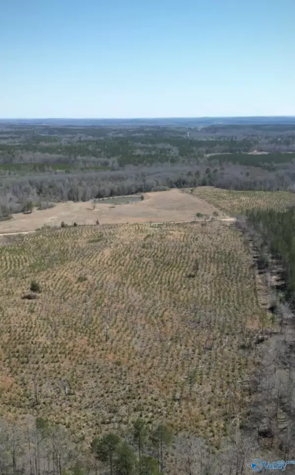 Winfield, AL 35594,3.01 acre Lot#1 Kuykendall Road