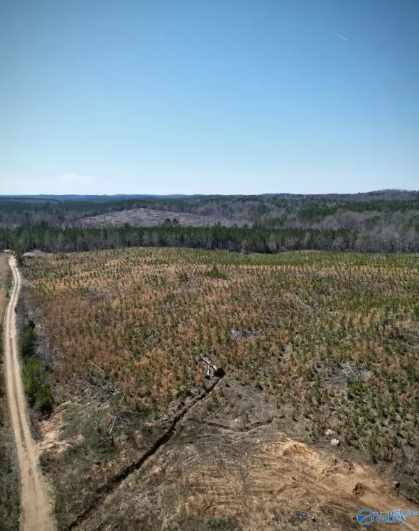 Winfield, AL 35594,3.13 acre Lot#4 Kuykendall Road