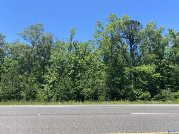 19 acres Goldenrod Avenue, Gadsden, AL 35901