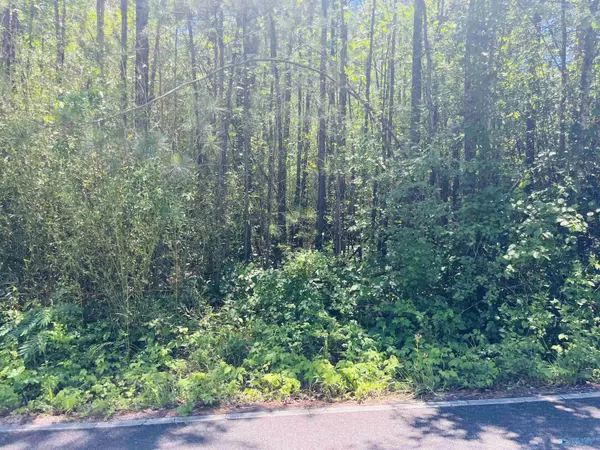 Gadsden, AL 35901,19 acres Goldenrod Avenue