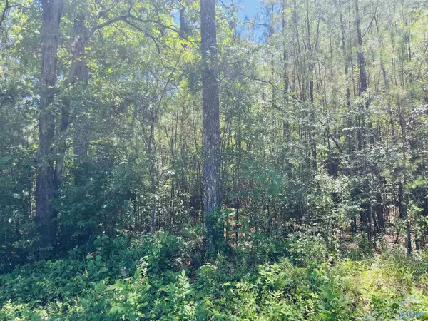 Gadsden, AL 35901,19 acres Goldenrod Avenue