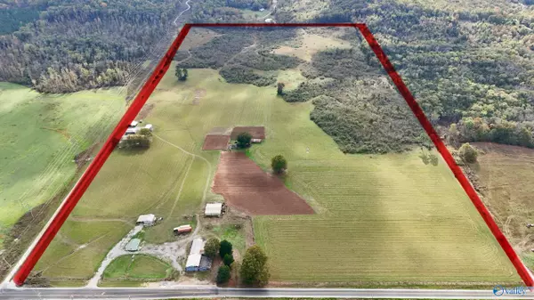 Trinity, AL 35673,8374 County Road 222