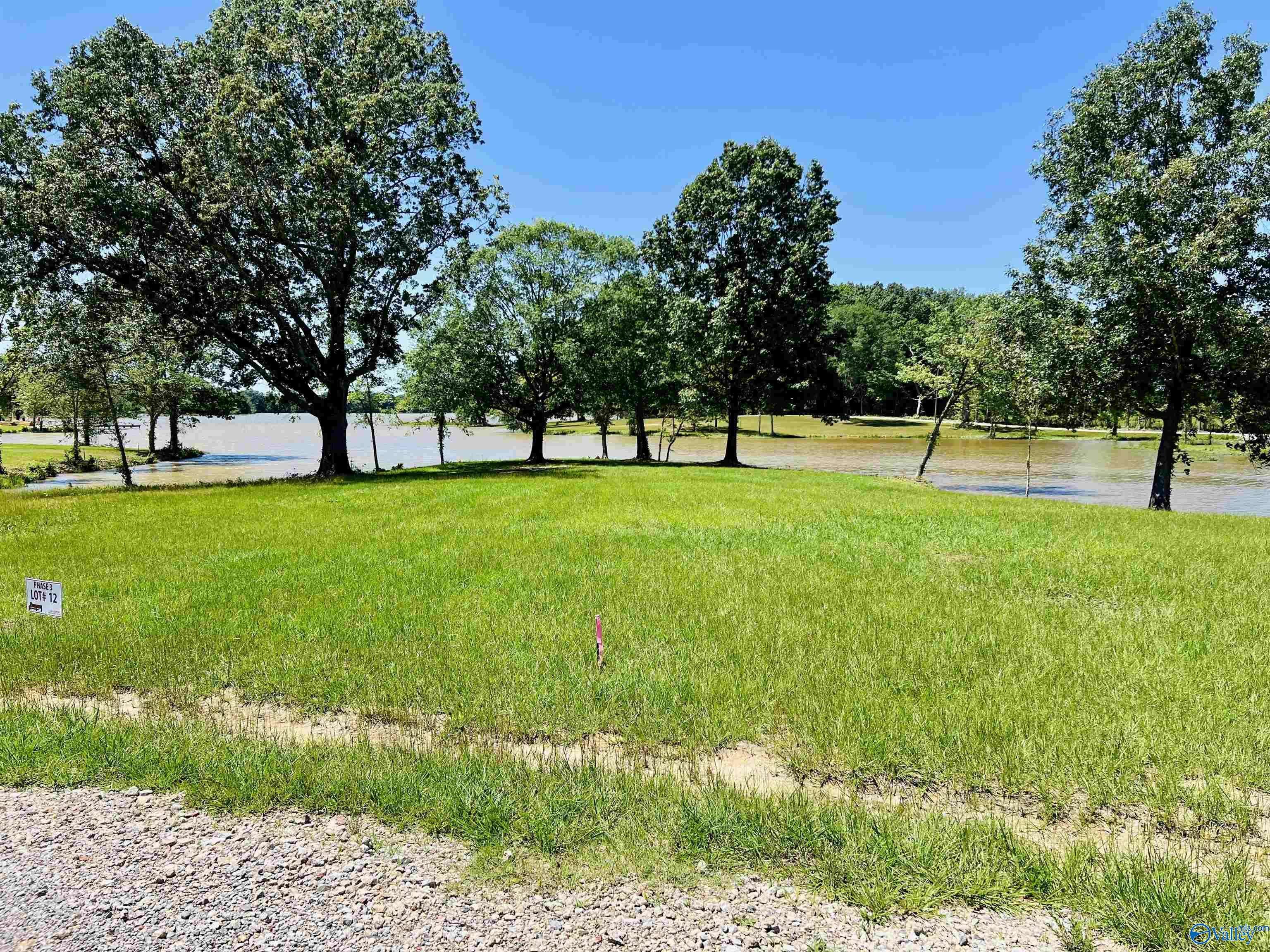 Cedar Bluff, AL 35959,12 & 13 County Road 115