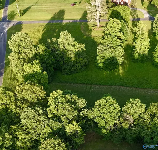 Rainsville, AL 35986,Lot 22 Honeysuckle Drive