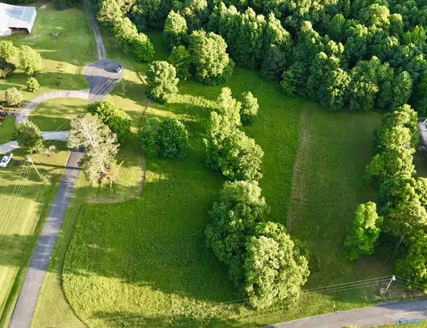 Rainsville, AL 35986,Lot 22 Honeysuckle Drive