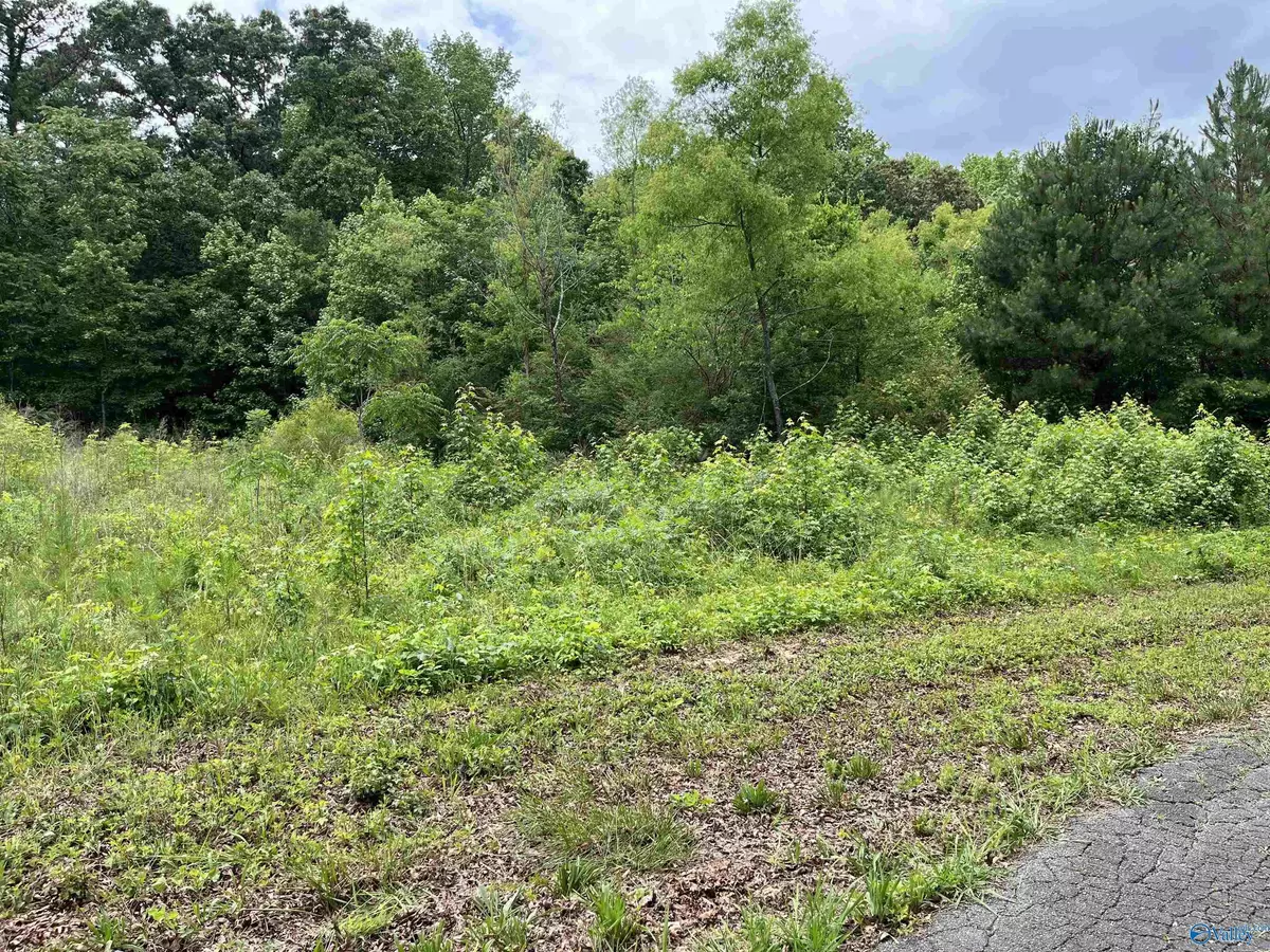 Crossville, AL 35962,lot #14 Country Cove Road