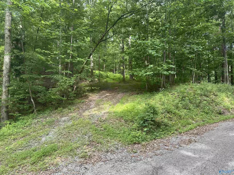LOT 9 Green Valley Road, Owens Cross Roads, AL 35763