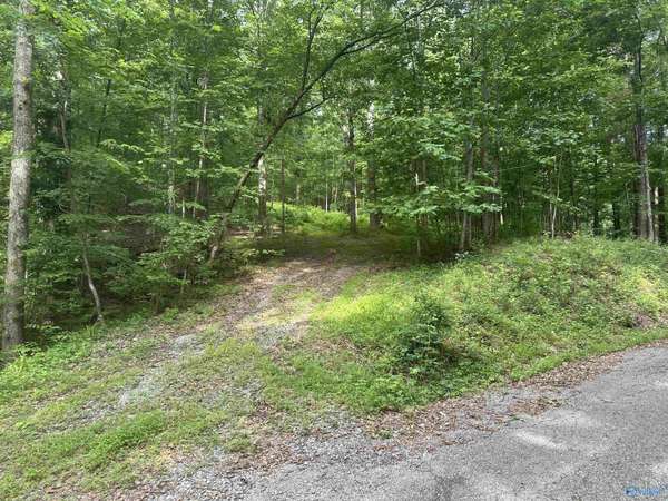 LOT 9 Green Valley Road, Owens Cross Roads, AL 35763