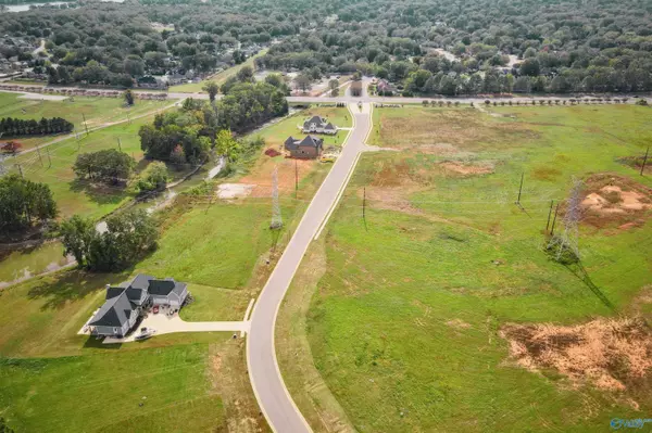 Decatur, AL 35601,Lot 22 Legacy Cove