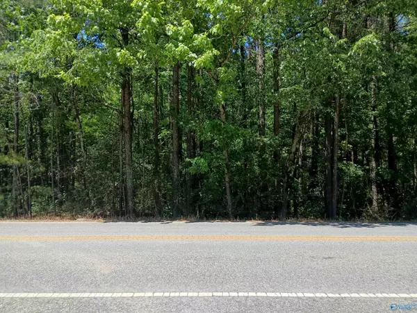 Rainbow City, AL 35906,0 Sutton Bridge Road