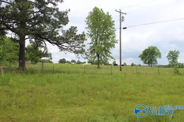 Grove Oak, AL 35975,600 County Road 550