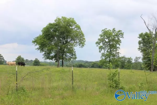 Grove Oak, AL 35975,600 County Road 550