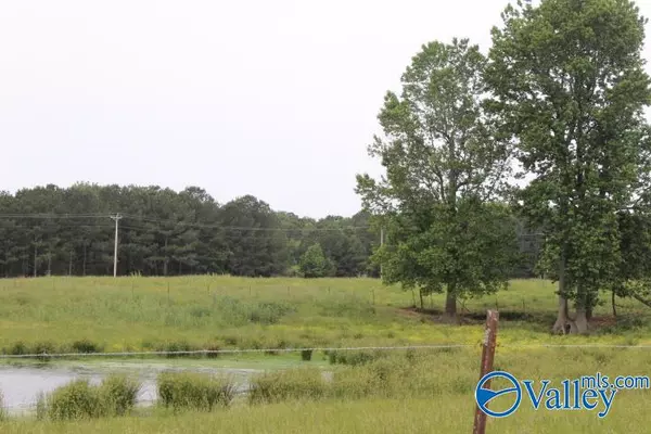 Grove Oak, AL 35975,4000 County Road 400