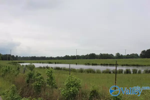 Grove Oak, AL 35975,4000 County Road 400