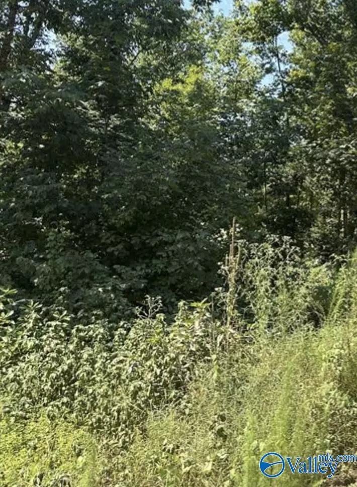 Athens, AL 35611,2.66 acres Blackburn Road