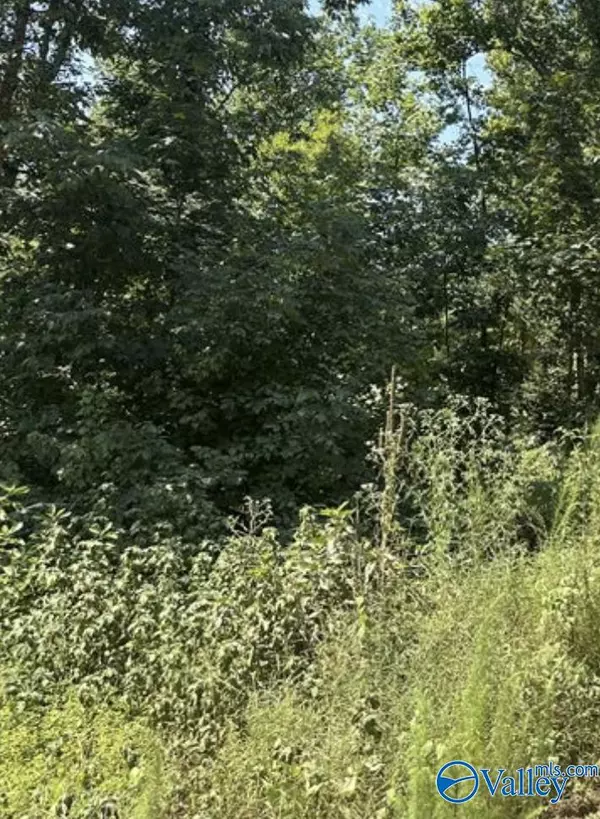 2.66 acres Blackburn Road, Athens, AL 35611