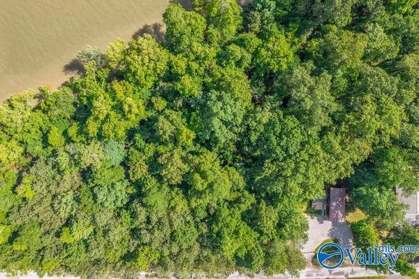 Cedar Bluff, AL 35959,GG Moneys Bend Road