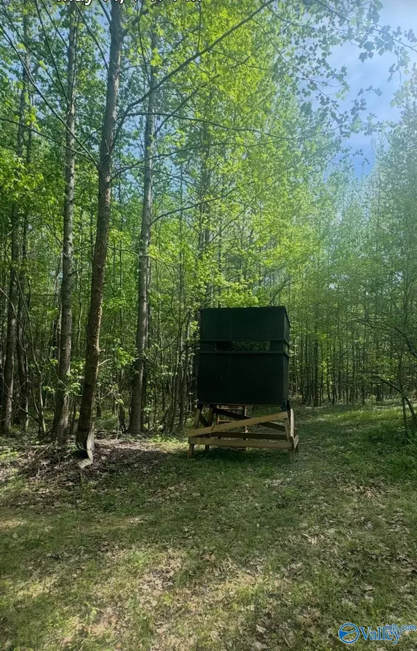 Hamilton, AL 35570,40 County Highway 25