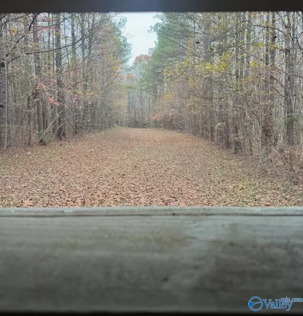 Hamilton, AL 35570,40 County Highway 25