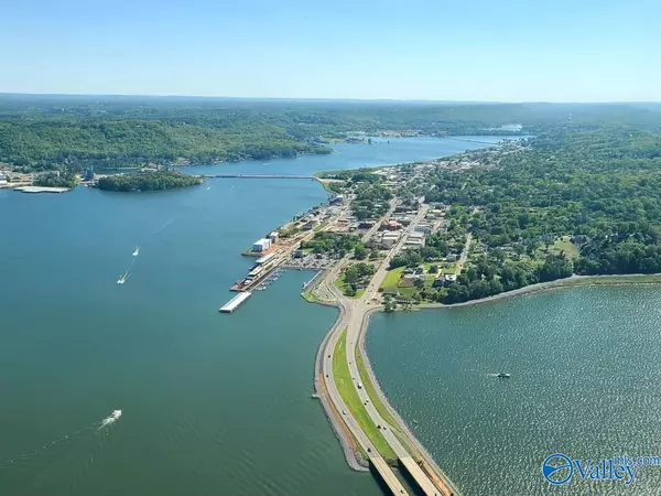 Guntersville, AL 35976,LOT 4 Creek Circle