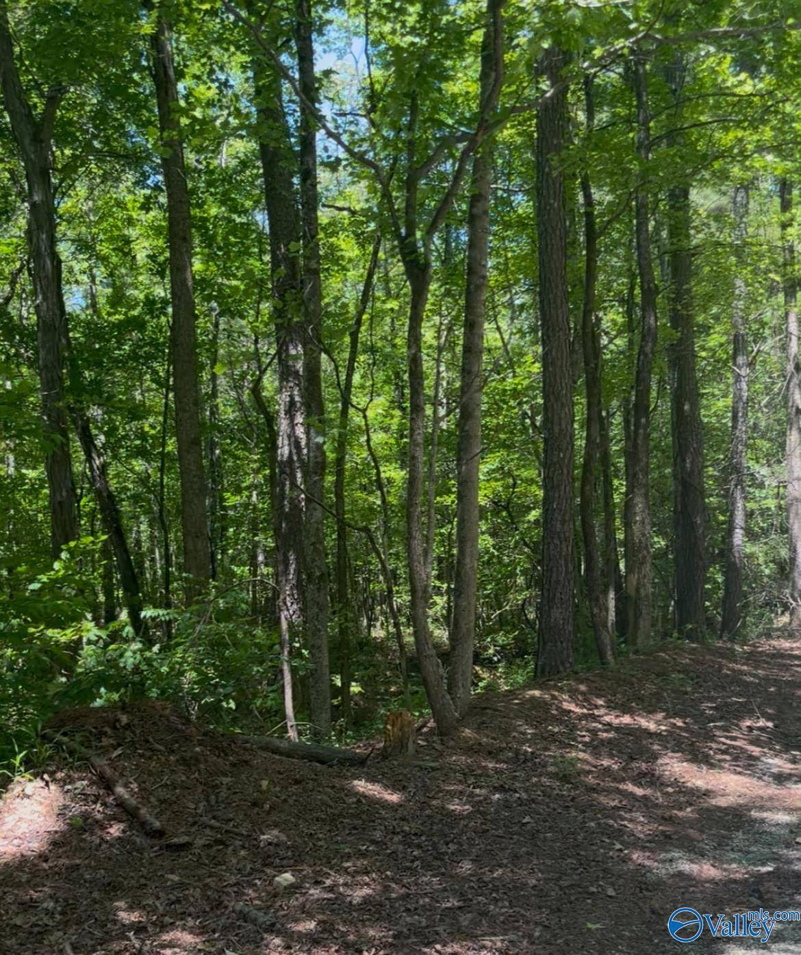 Gadsden, AL 35901,5 acres Owls Hollow Road