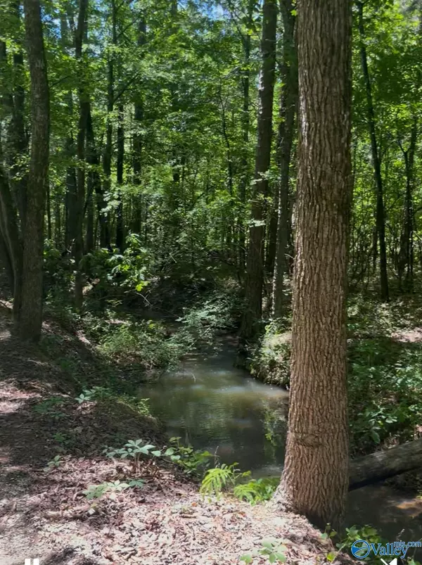 5 acres Owls Hollow Road, Gadsden, AL 35901