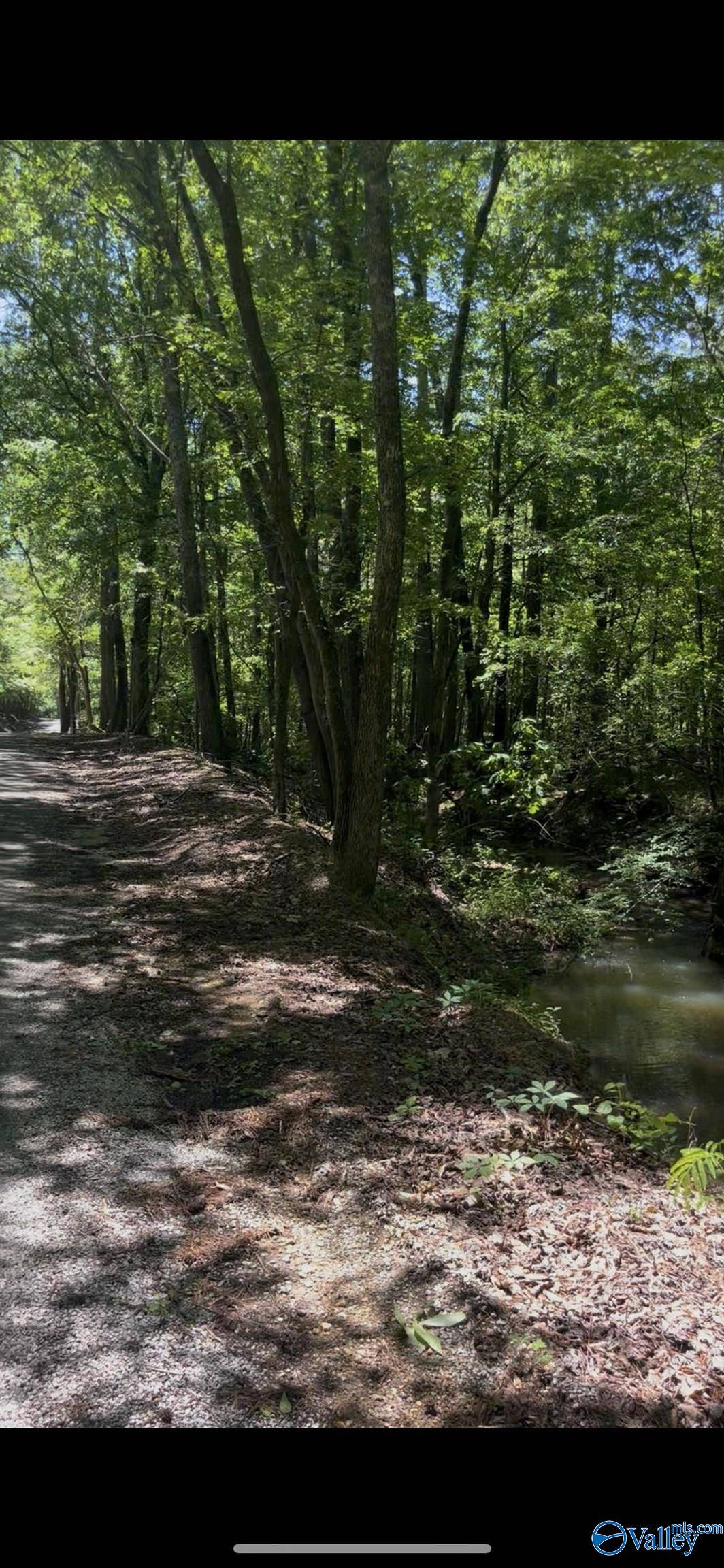 Gadsden, AL 35901,5 acres Owls Hollow Road