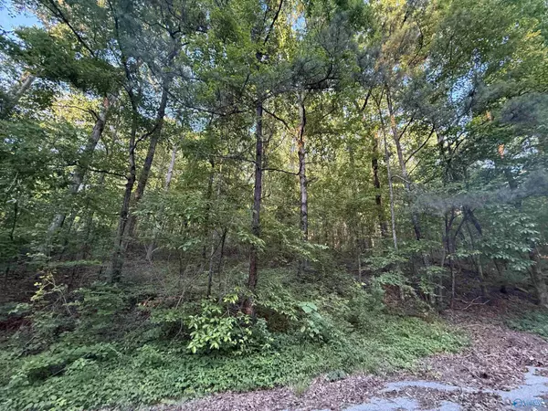 Gadsden, AL 35901,174 Lot 7 Greenbriar Road