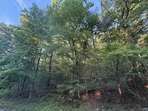 Gadsden, AL 35901,174 Lot 7 Greenbriar Road