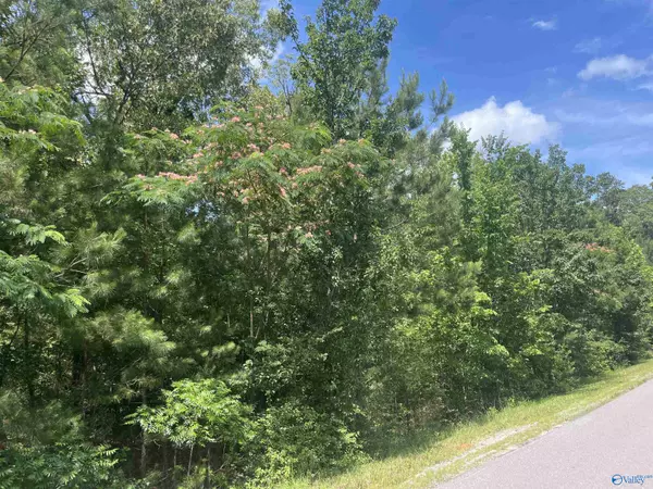 Glencoe, AL 35905,Lot 3 Meadow Creek Road