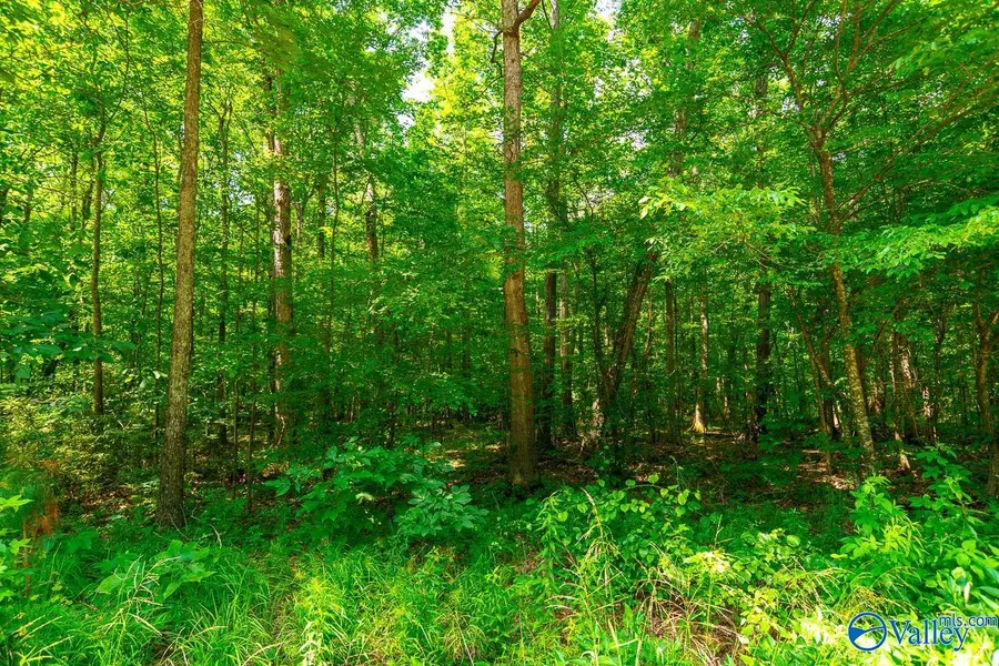 Bobo Section Bobo Section Road, Hazel Green, AL 35750