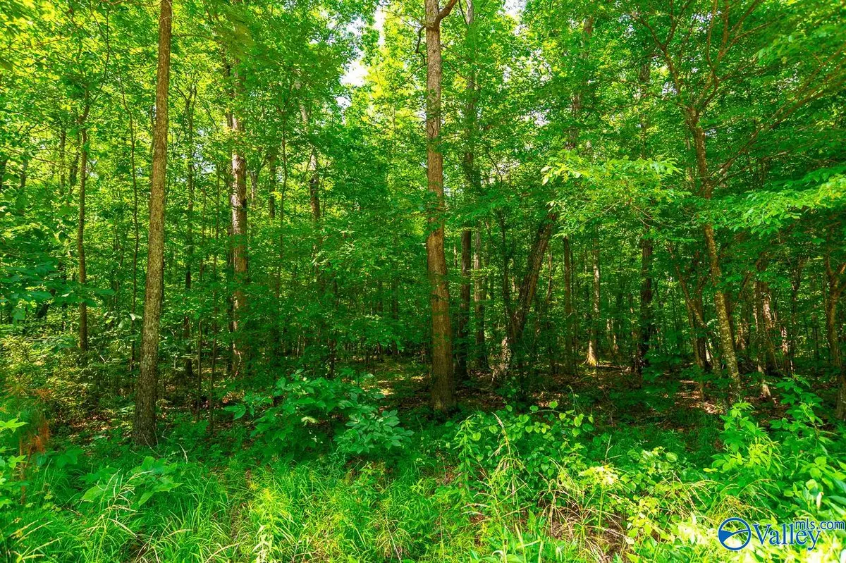 Hazel Green, AL 35750,Bobo Section Bobo Section Road