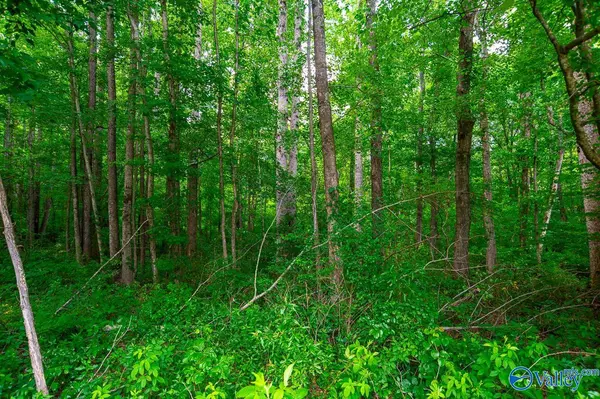 Hazel Green, AL 35750,Bobo Section Bobo Section Road