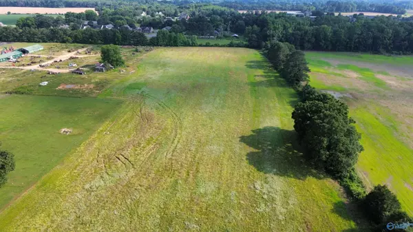 Elkmont, AL 35620,Tract 4 Bethel Road