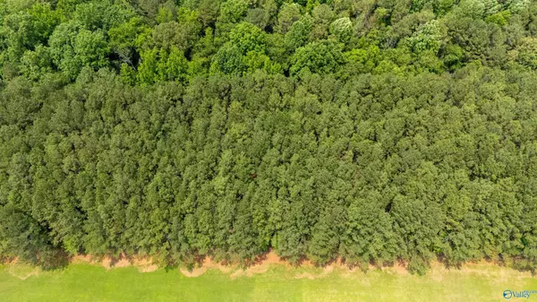 Toney, AL 35773,9.05 Toney School Road