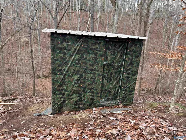 Cherokee, AL 35616,10 AC Pennywinkle Creek Lane