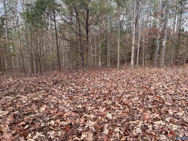 Cherokee, AL 35616,10 AC Pennywinkle Creek Lane