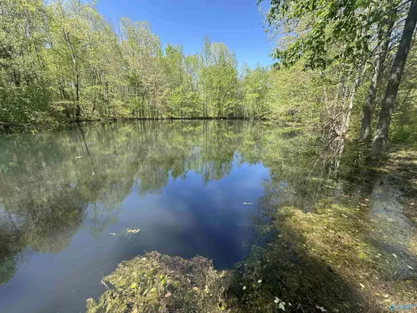 Elkmont, AL 35620,Lot 5 Taylor Road