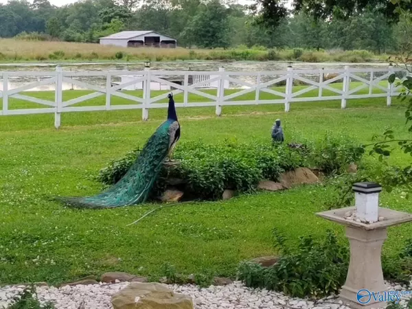 Fort Payne, AL 35968,1396 County Road 446