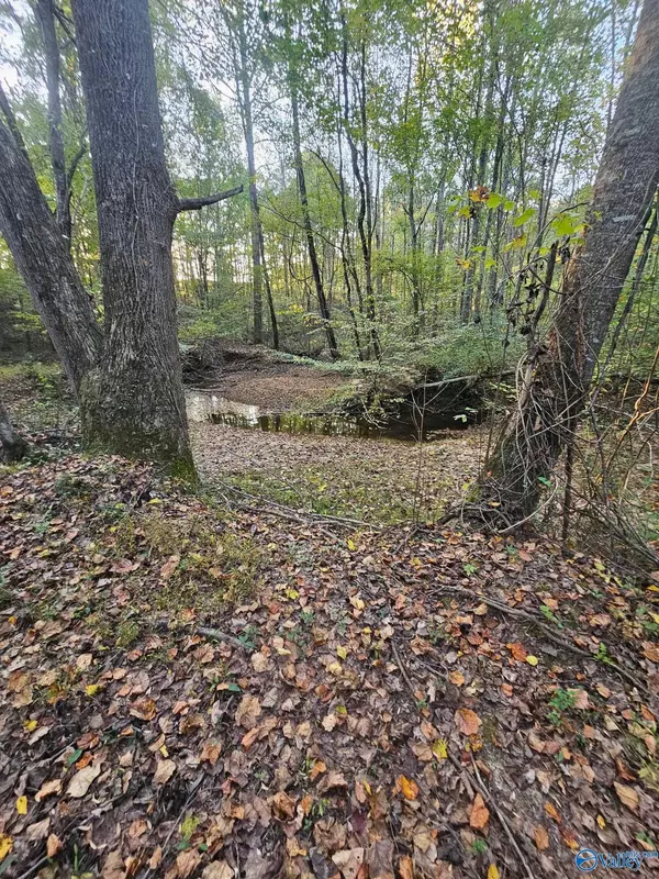 Town Creek, AL 35672,10267 Alabama Highway 101