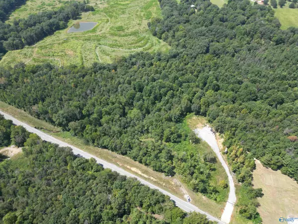 Town Creek, AL 35672,10267 Alabama Highway 101