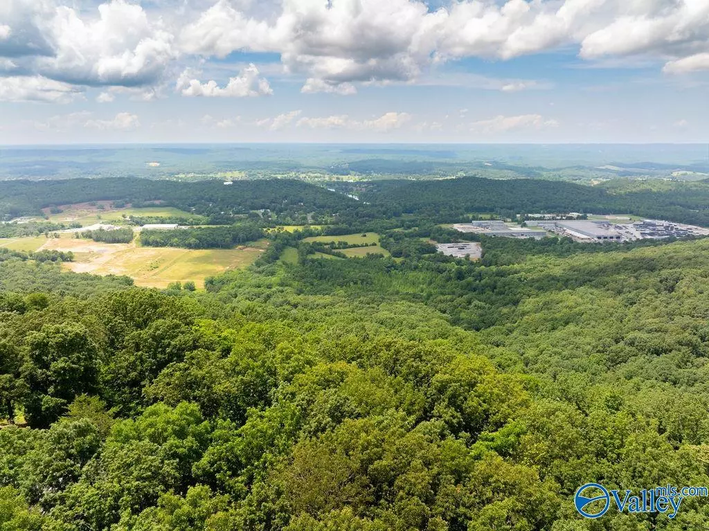 Fort Payne, AL 35967,3 ACRES County Road 66