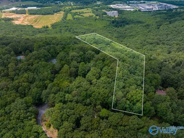 Fort Payne, AL 35967,3 ACRES County Road 66