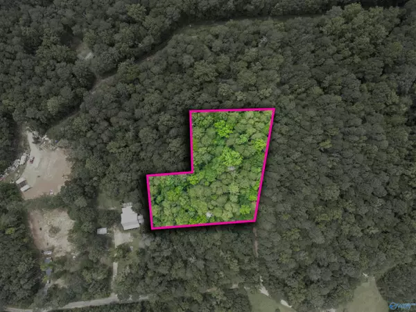 1.78 ac County Road 427, Fort Payne, AL 35967